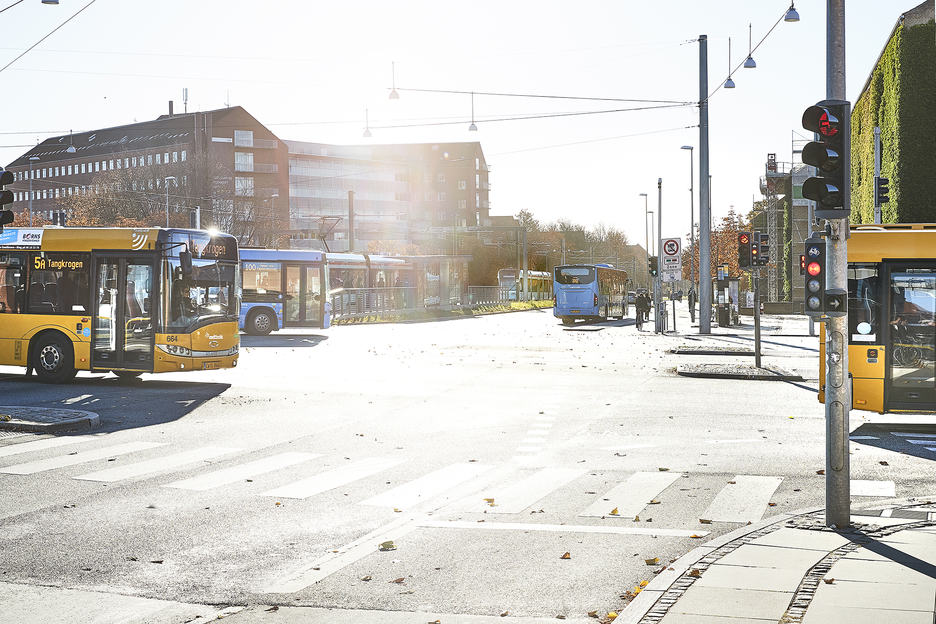 Billede af bybus, regionalbus og letbane i Aarhus.